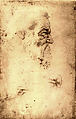 Studies of the Head of a Prophet in Profile, 